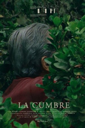La Cumbre (2021) poster