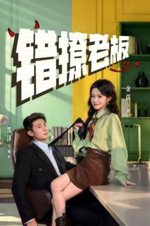 错撩老板 (2026) poster