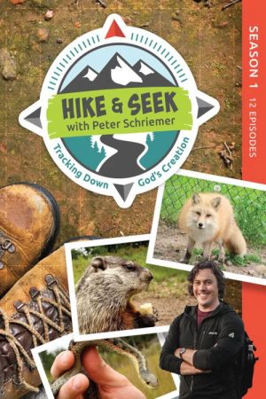 Hike and Seek (2020) poster