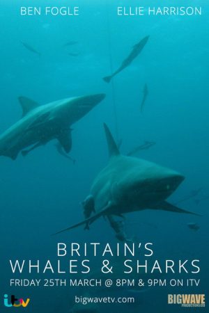 Britain’s Whales and Sharks (2016) poster