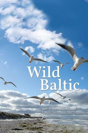 Wild Baltic (2018) poster