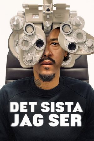 Det sista jag ser (2025) poster