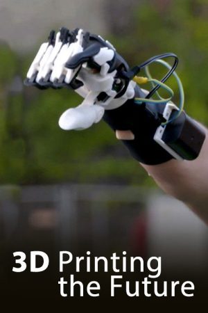 3D – Printing the future (2017) poster