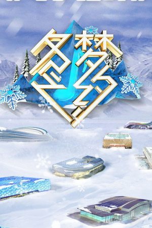 冬梦之约 (2021) poster
