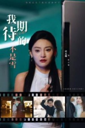 我期待的不是雪 (2025) poster