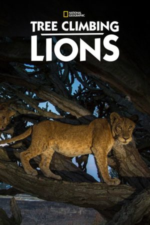 Tree Climbing Lions (2018) poster