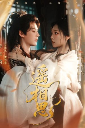 遥相思 (2025) poster
