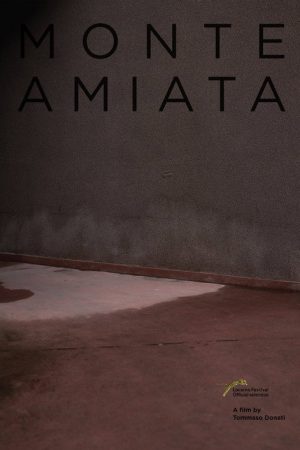 Monte Amiata (2018) poster
