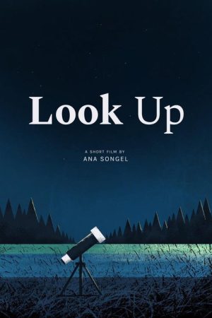 Look Up (2019) poster