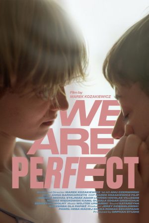 We Are Perfect (2026) poster
