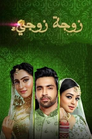 Bahu Begum (2019) poster