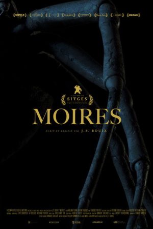 Moires (2020) poster