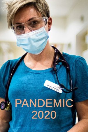 Pandemic 2020 (2021) poster