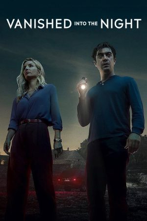 Vanished into the Night (2024) poster