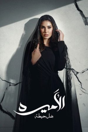 Al-Ameera: Thill Haita (2025) poster