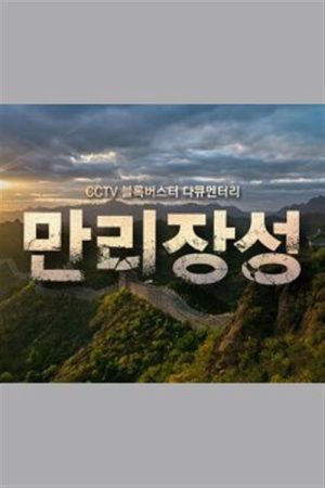 만리장성 (2016) poster