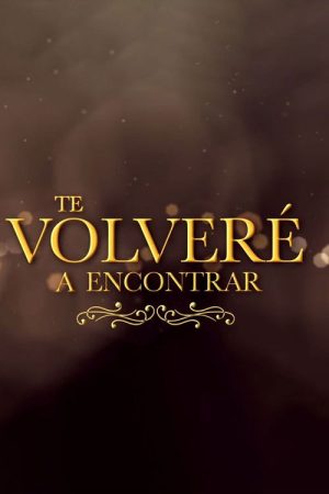 Te Volveré a Encontrar (2020) poster