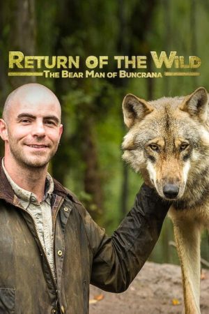 Return of the Wild: The Bearman of Buncrana (2020) poster