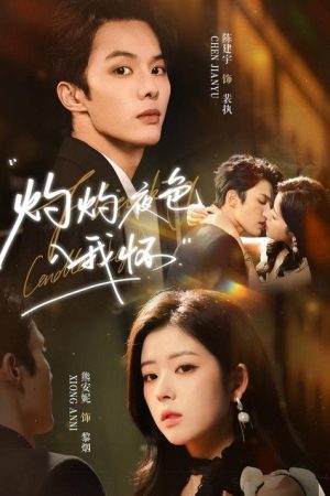 灼灼夜色入我怀 (2026) poster