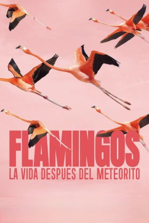 Flamingos: Life After the Meteorite (2026) poster