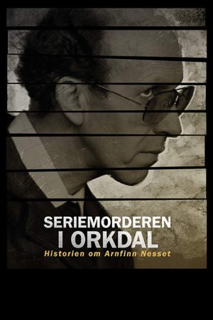 Seriemorderen i Orkdal (2020) poster