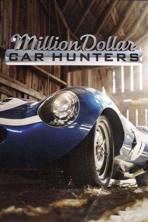 Million Dollar Car Hunters (2017) poster