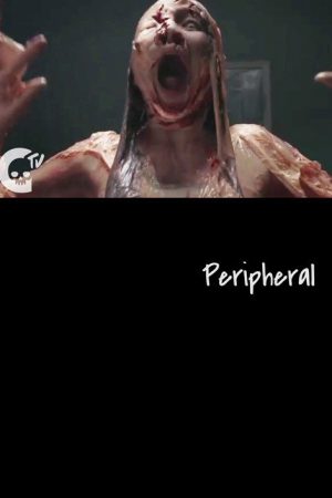 Peripheral (2017) poster