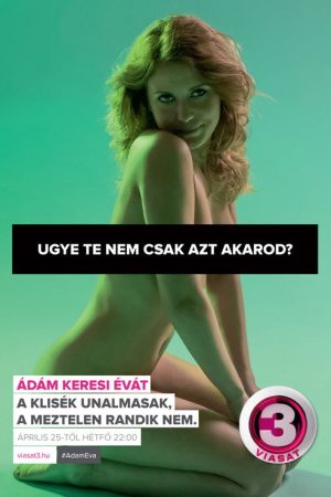 Adam Looking for Eve (2016) poster