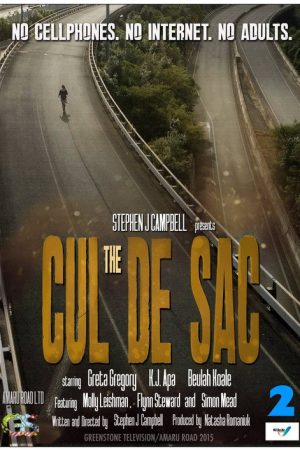 The Cul de Sac (2016) poster