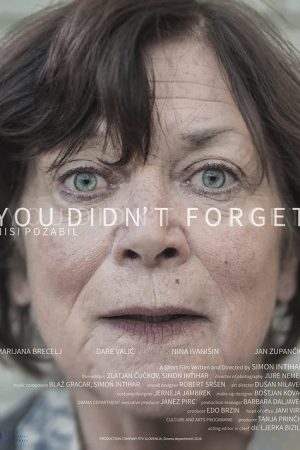 You Didn’t Forget (2016) poster
