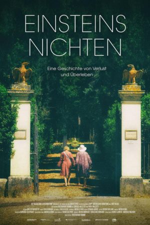 Einsteins Nichten (2017) poster