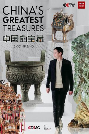中国的宝藏 (2019) poster