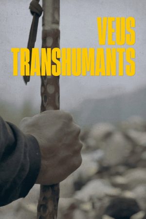 Veus transhumants (2025) poster