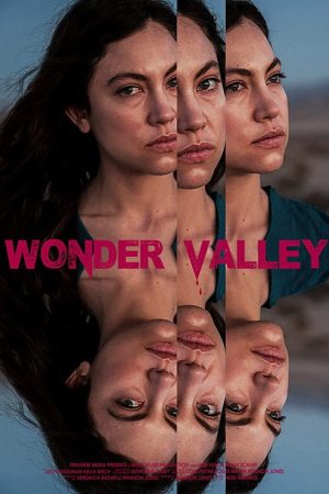 Wonder Valley (2017) poster