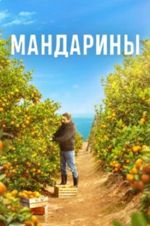 Mandarins (2022) poster