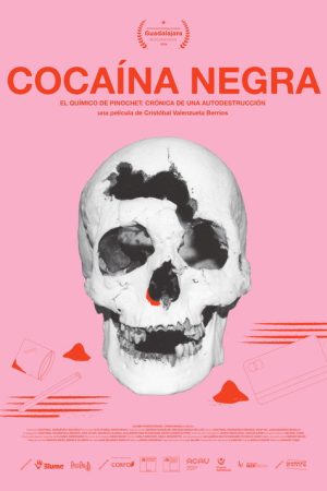 Black Cocaine (2026) poster