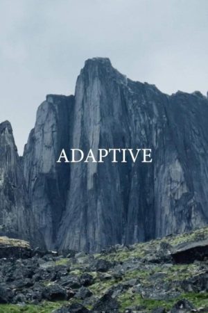 Adaptive (2019) poster