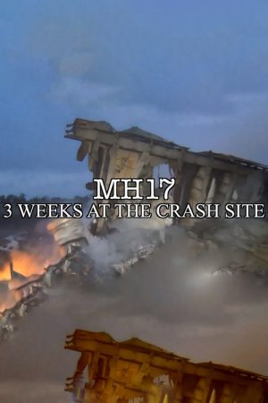 MH17 (2018) poster