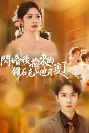 閃婚後撿來的鑽石老公他不傻了 (2026) poster