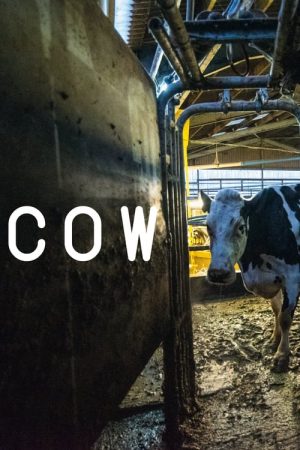 Cow (2022) poster