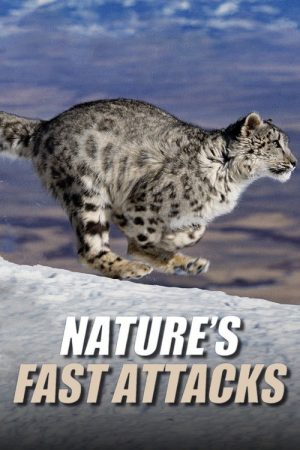 Nature’s Fast Attacks (2023) poster