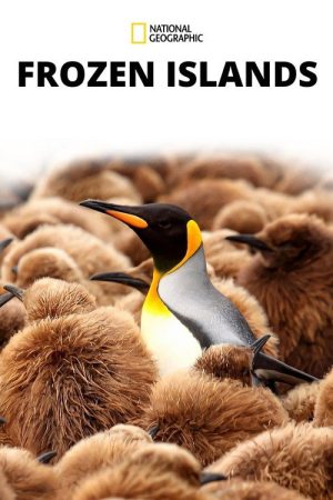 Frozen Islands (2020) poster