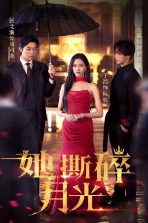 她撕碎月光 (2025) poster