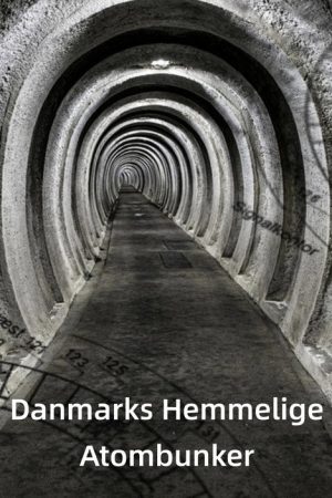 Danmarks hemmelige atombunker (2023) poster
