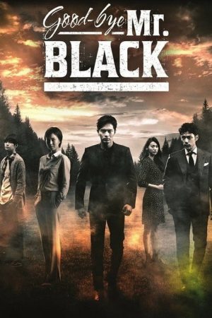 Goodbye Mr. Black (2016) poster