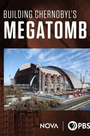 Building Chernobyl’s Mega Tomb (2017) poster