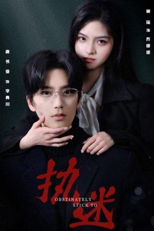 执迷 (2025) poster