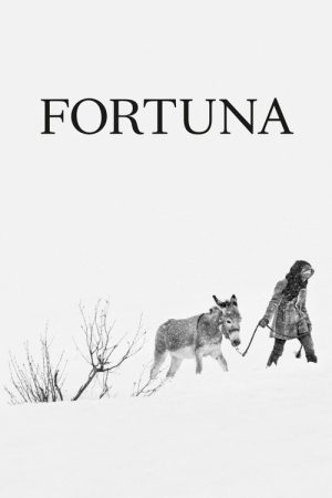 Fortuna (2018) poster