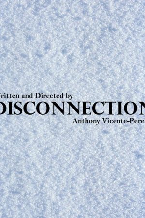 Disconnection (2020) poster