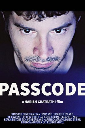 Passcode (2022) poster